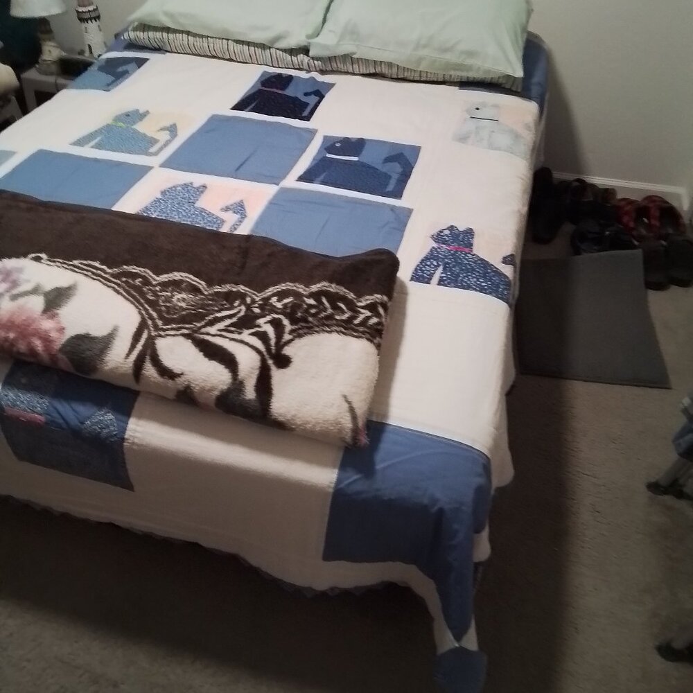 Queen  TEMPUR-PEDIC FRAME and MATRESS